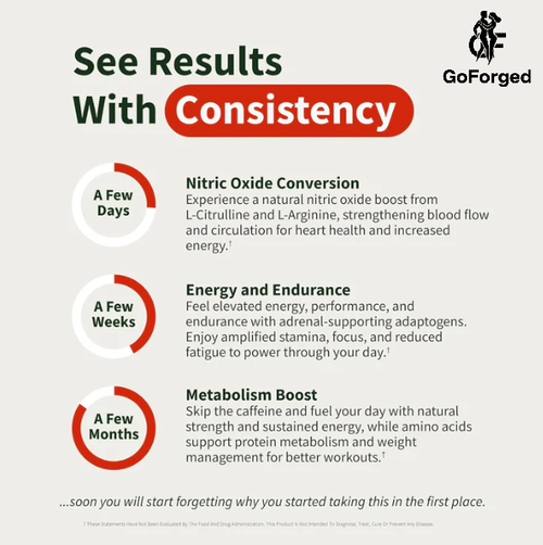 GoForged Nitric Oxide Booster